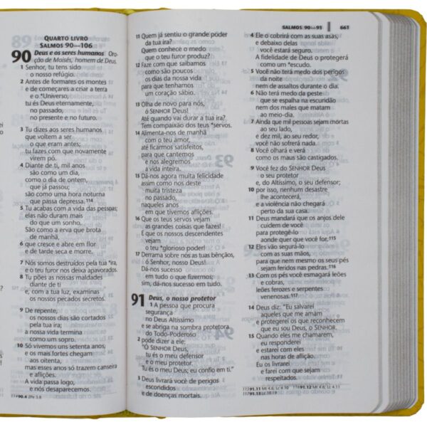 Bíblia Sagrada | NTLH | Letra Grande | Capa Filipenses 4:13 - Imagem 3