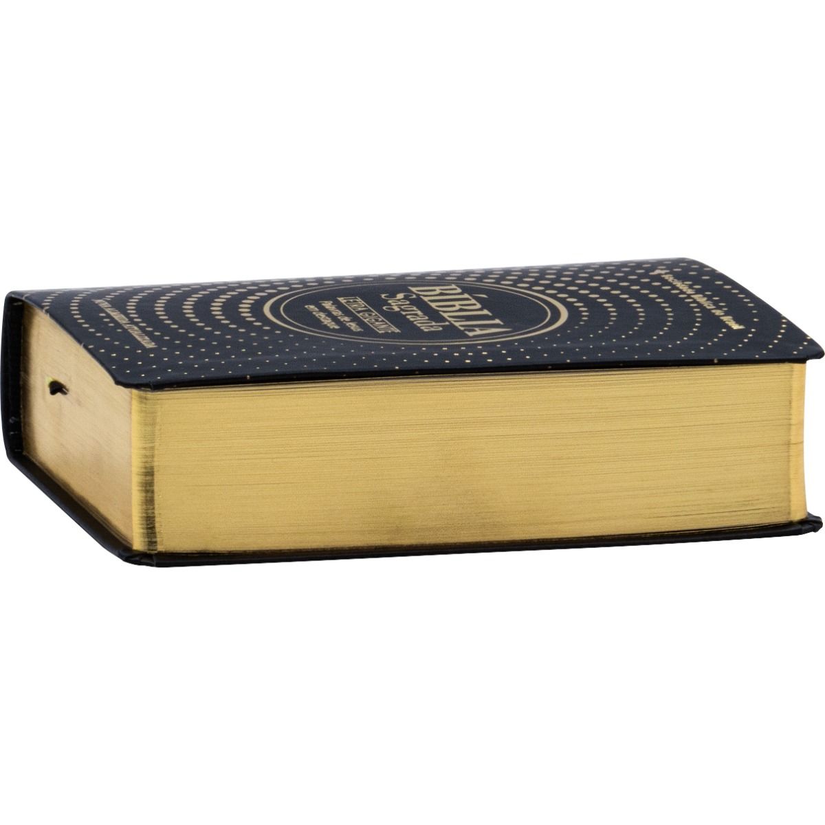 Bíblia Sagrada Tamanho Pequena Letra Gigante - NAA - Imagem 3