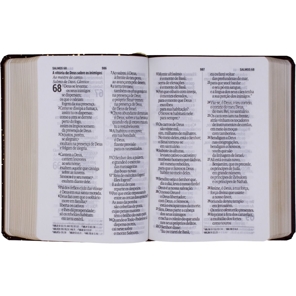 Bíblia Sagrada Tamanho Pequena Letra Gigante - NAA - Imagem 2