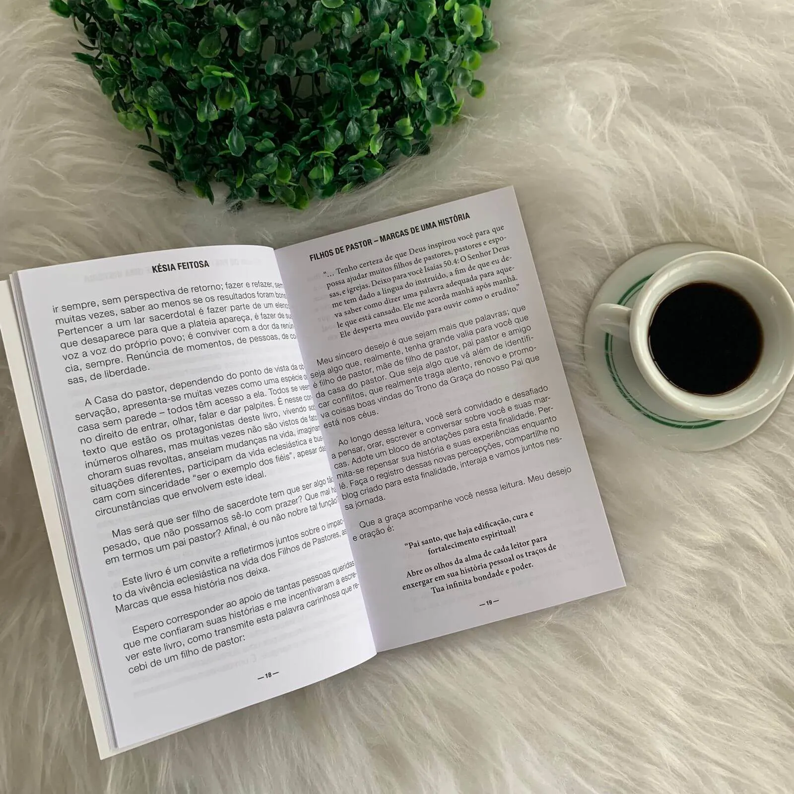 Livro Filhos de Pastor - Marcas de uma história - Késia Feitosa - Imagem 4