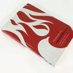 Livro Pentecostalismo - Do encontro com Deus à compreensão - Julius Melo - Image 2