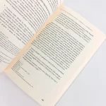 Livro Pentecostalismo - Do encontro com Deus à compreensão - Julius Melo - Image 5