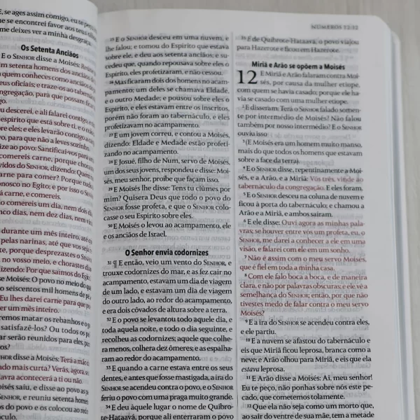 Bíblia King James Fiel 1611 | Extra Gigante | Capa Luxo Preta - Imagem 6