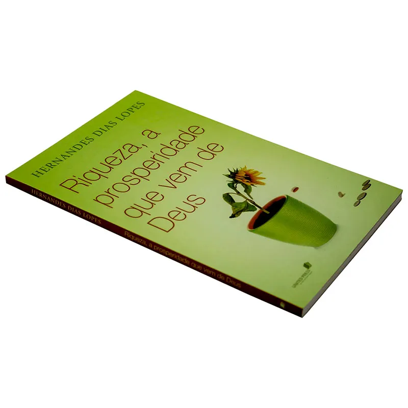 Livro Riqueza, a prosperidade que vem de Deus - Hernandes Dias Lopes - Imagem 2