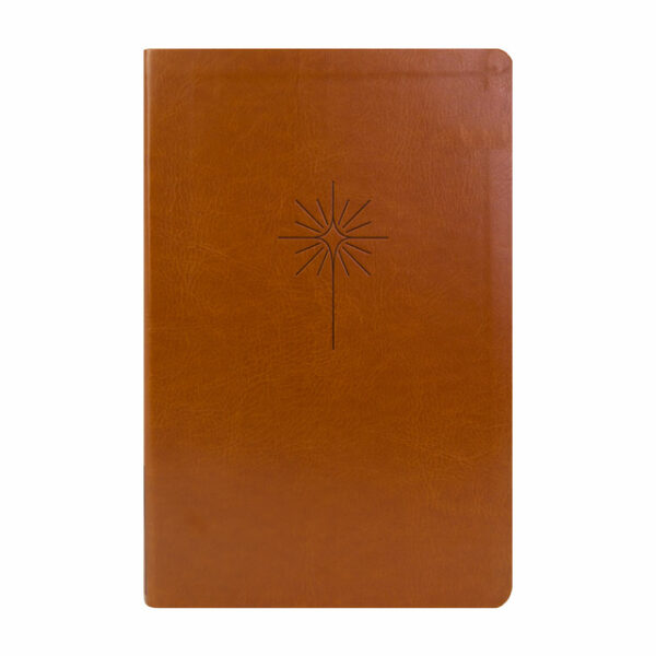 Bíblia Sagrada NVT Filament Slim - Letra Grande - Capa Luxo Marrom - Imagem 7