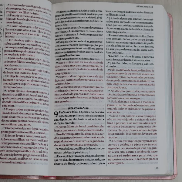 Bíblia King James Fiel 1611 | Extra Gigante | Capa Luxo Rosê - Imagem 6