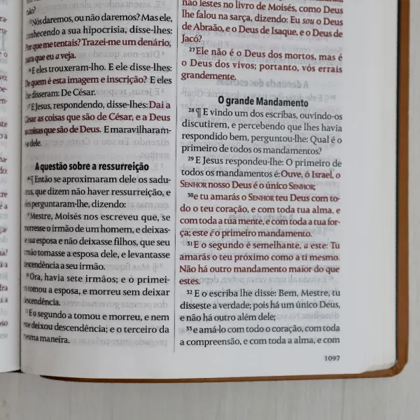 Bíblia King James Fiel 1611 | Extra Gigante | Capa Luxo Castanha - Imagem 5