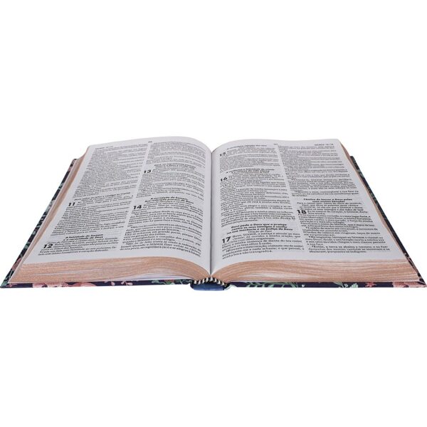 Biblia Sagrada RC Capa Dura Primavera Ilustrada - Imagem 5