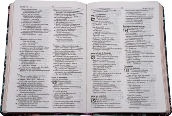 Bíblia Sagrada NAA Capa Primavera-Letra Média - Image 3