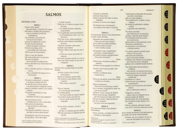 Bíblia NVI, Letras de Jesus em vermelho Capa Dura - Imagem 3