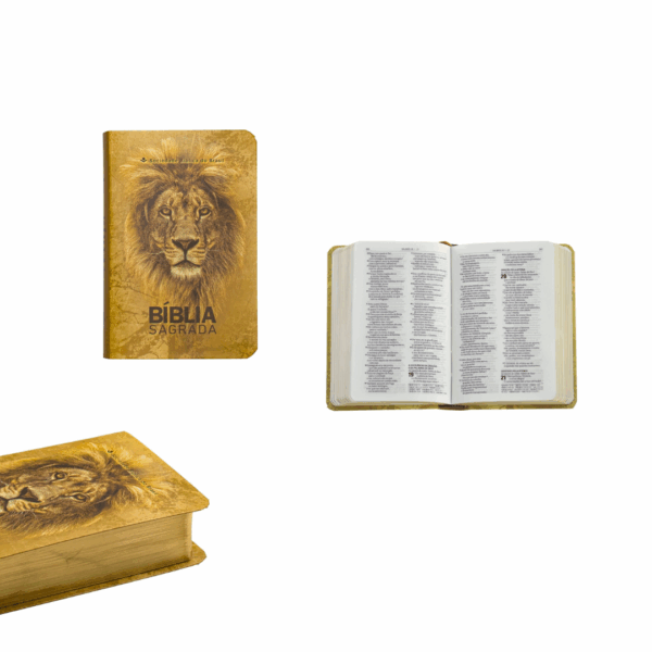 Bíblia Pequena de Bolso 13cm| NAA | Capa Semiflexível Leão Dourado - Imagem 2