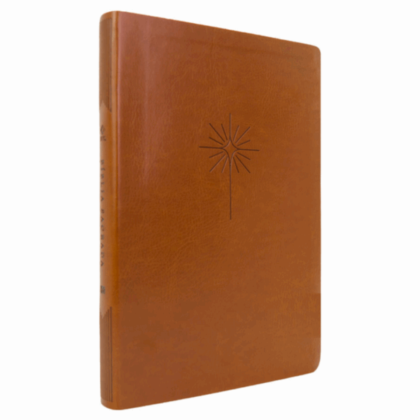 Bíblia Sagrada NVT Filament Slim - Letra Grande - Capa Luxo Marrom - Imagem 2