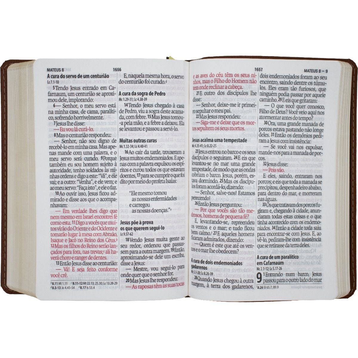 Bíblia Luxo Supergigante NAA Azul com Rosa - Imagem 3